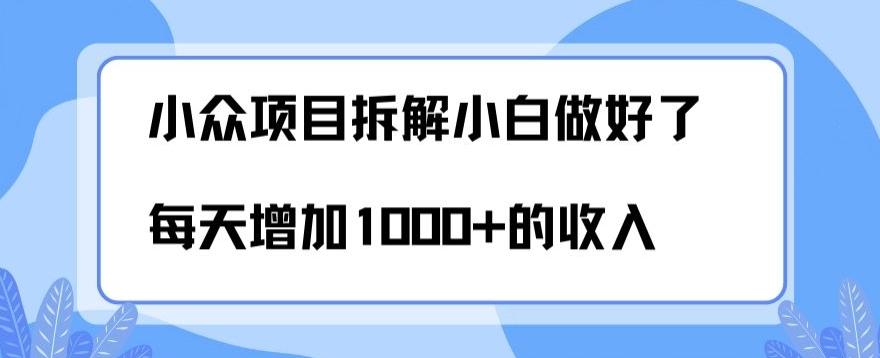 小众项目拆解，小白做好了每天可增加1000多的收入-资源宝库