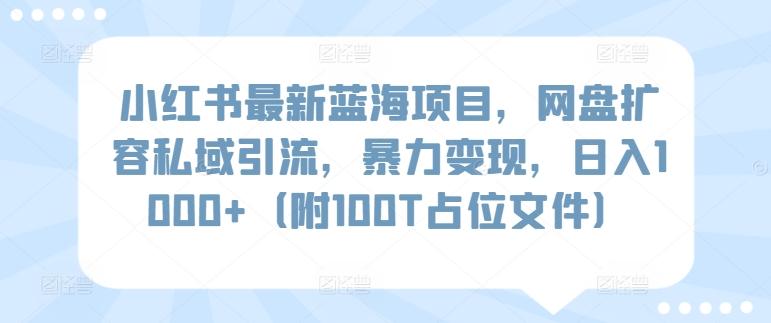 小红书最新蓝海项目，网盘扩容私域引流，暴力变现，日入1000+(附100T占位文件)【揭秘】-资源宝库