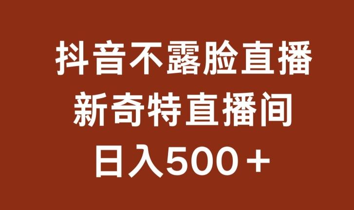 不露脸挂机直播，新奇特直播间，日入500+【揭秘】-资源宝库