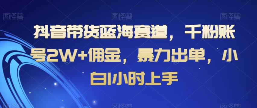 抖音带货蓝海赛道，千粉账号2W+佣金，暴力出单，小白1小时上手【揭秘】-资源宝库