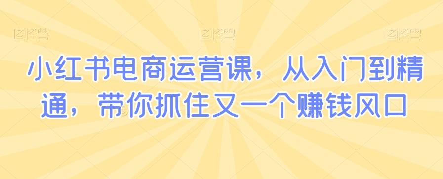 小红书电商运营课，从入门到精通，带你抓住又一个赚钱风口-资源宝库