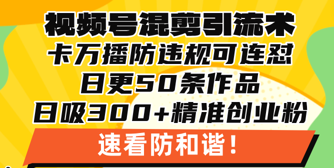 视频号混剪引流技术，500万播放引流17000创业粉，操作简单当天学会-资源宝库