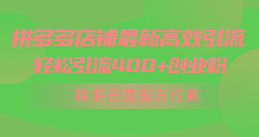 (10041期)拼多多店铺最新高效引流术，轻松引流400+创业粉，精准日变现五位数！-资源宝库