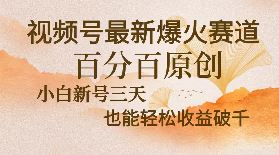 视频号最新爆火赛道，中老年粉深信不疑，百分百原创，新号三天收益轻松…-资源宝库