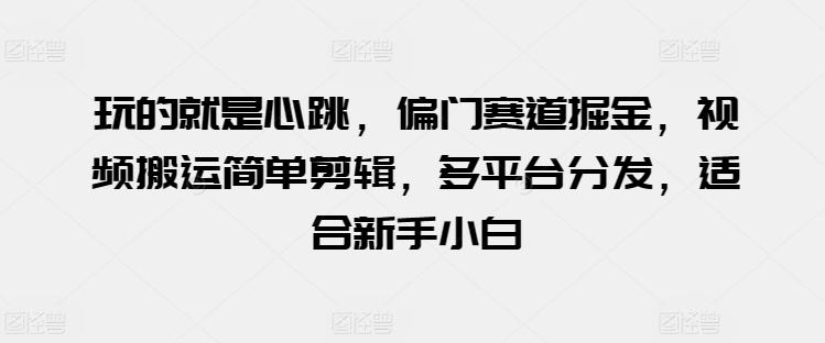 玩的就是心跳，偏门赛道掘金，视频搬运简单剪辑，多平台分发，适合新手小白【揭秘】-资源宝库