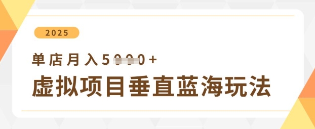 虚拟项目垂直玩法，实现单店月入5k+-资源宝库