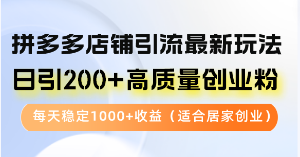拼多多店铺引流最新玩法，日引200+高质量创业粉，每天稳定1000+收益(...-资源宝库