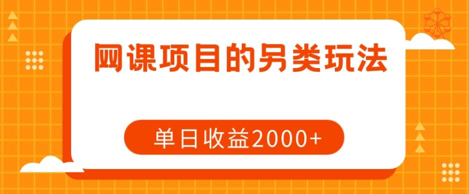 网课项目的另类玩法，单日收益2000+【揭秘】-资源宝库