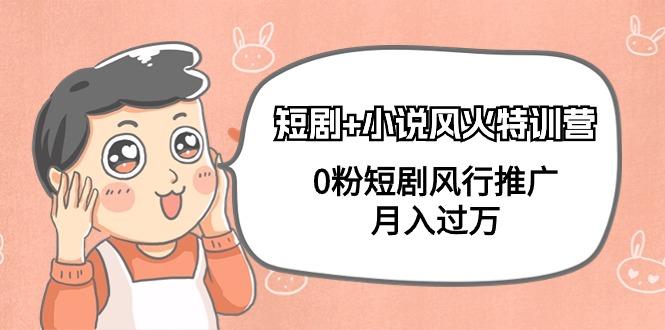 (9374期)短剧+小说风火特训营，0粉短剧风行推广，月入过万(102节课)-资源宝库