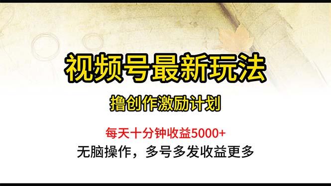 视频号最新玩法，每日一小时月入5000+-资源宝库