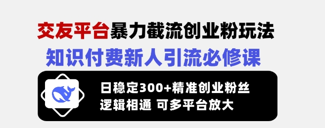交友平台暴力截流创业粉玩法，知识付费新人引流必修课，日稳定300+精准创业粉丝，逻辑相通可多平台放大-资源宝库