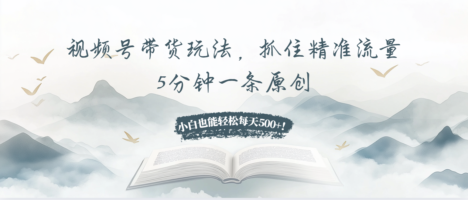 视频号带货玩法，抓住精准流量，5分钟一条原创，小白也能轻松每天500+！-资源宝库