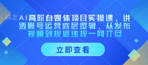 AI高阶自媒体项目实操课，讲透账号运营底层逻辑，从发布视频到规避违规一网打尽-资源宝库