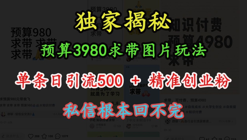 预算3980求带 图片玩法，单条日引流500+精准创业粉，私信根本回不完-资源宝库