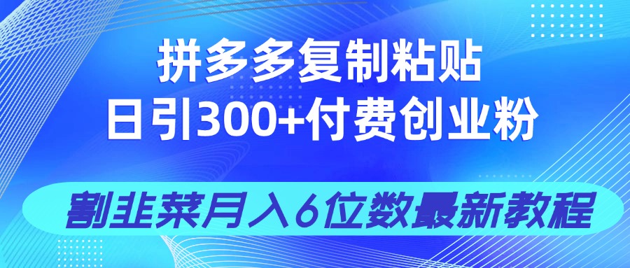 拼多多复制粘贴日引300+付费创业粉,割韭菜月入6位数最新教程!-资源宝库