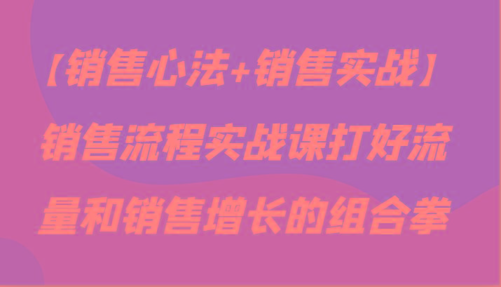 【销售心法+销售实战】销售流程实战课打好流量和销售增长的组合拳-资源宝库
