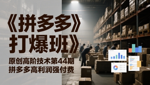 《拼多多打爆班》原创高阶技术第44期,拼多多高利润强付费-资源宝库