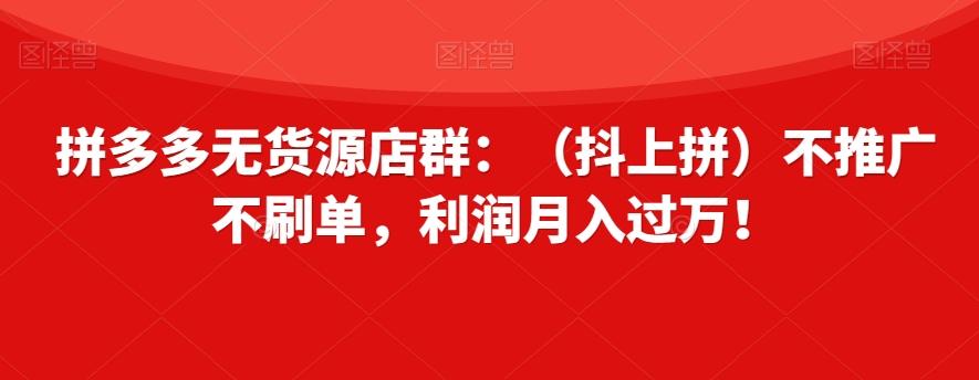 拼多多无货源店群：（抖上拼）不推广不刷单，利润月入过万！【揭秘】-资源宝库