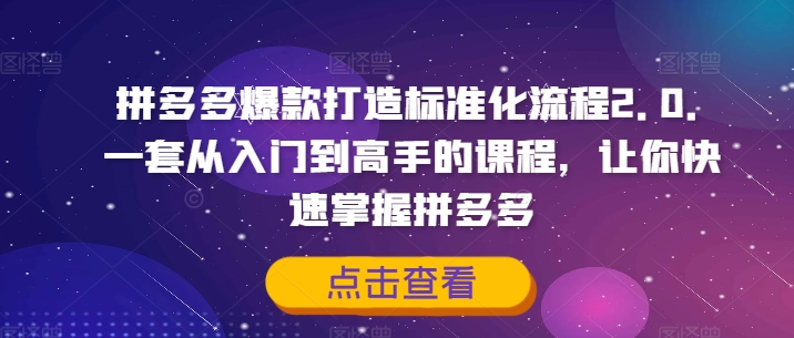 拼多多爆款打造标准化流程2.0，一套从入门到高手的课程，让你快速掌握拼多多-资源宝库