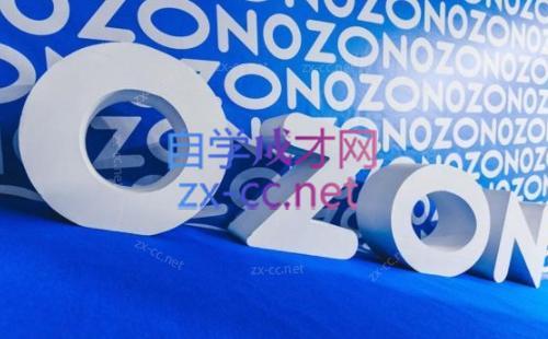 森哥·出海俄罗斯电商实操(2024)-资源宝库
