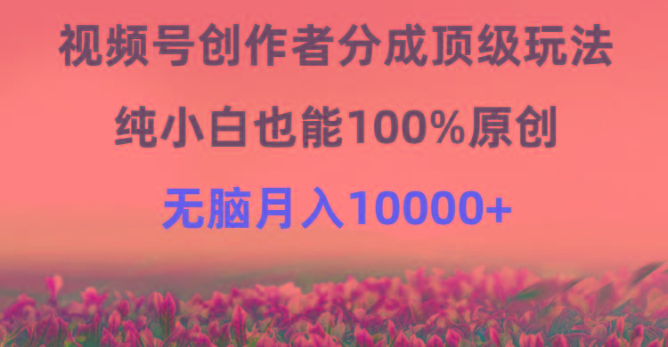 (9608期)视频号创作者分成顶级玩法，纯小白也能100%原创，无脑月入10000+-资源宝库