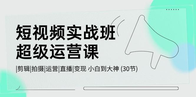 短视频实战班超级运营课 |剪辑|拍摄|运营|直播|变现 小白到大神 (30节)-资源宝库