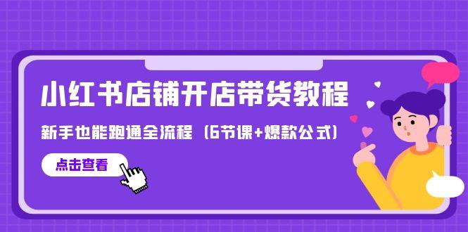 (9883期)最新小红书店铺开店带货教程，新手也能跑通全流程(6节课+爆款公式)-资源宝库