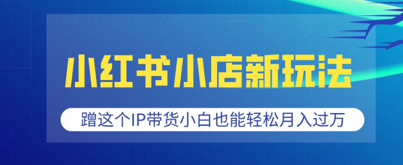 小红书小店新玩法,蹭这个IP带货,小白也能轻松月入过W【揭秘】-资源宝库