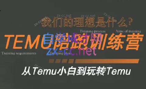 苗苗·拼多多跨境（temu）课程-资源宝库