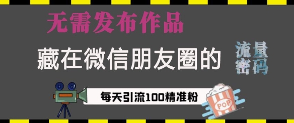藏在微信朋友圈的流量密码,无需发布作品,单日引流100+精准创业粉【揭秘】-资源宝库