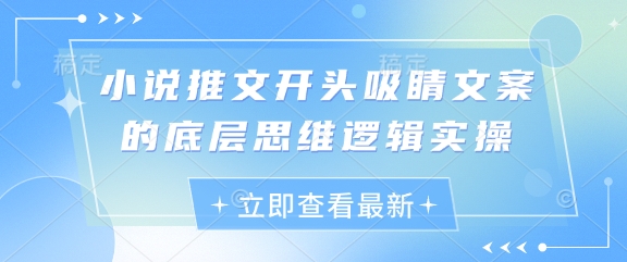 小说推文开头吸睛文案的底层思维逻辑实操-资源宝库