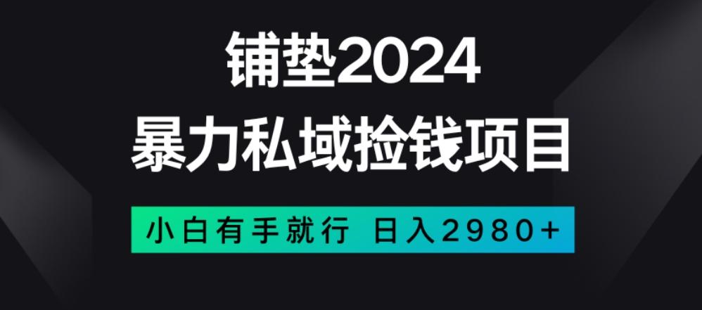 暴力私域捡钱项目，小白无脑操作，日入2980【揭秘】-资源宝库