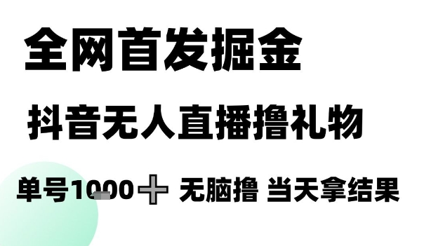 全网首发掘金抖音无人直播撸礼物，单号1k +无脑撸，当天拿结果【揭秘】-资源宝库