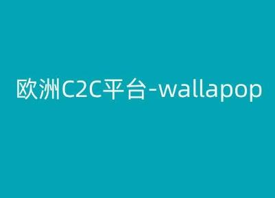 欧洲C2C平台-wallapop-kim跨境电商教程-资源宝库