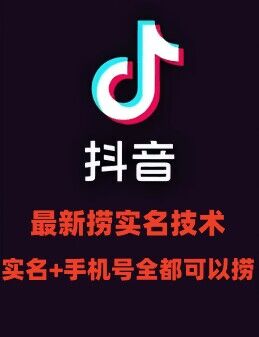 最新技术抖音捞实名+捞手机号技术，抖音直播封禁释放十名/手机号，直接替换出来!-资源宝库