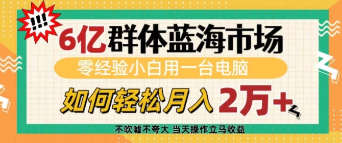 6亿群体蓝海市场，零经验小白用一台电脑，如何轻松月入过w【揭秘】-资源宝库