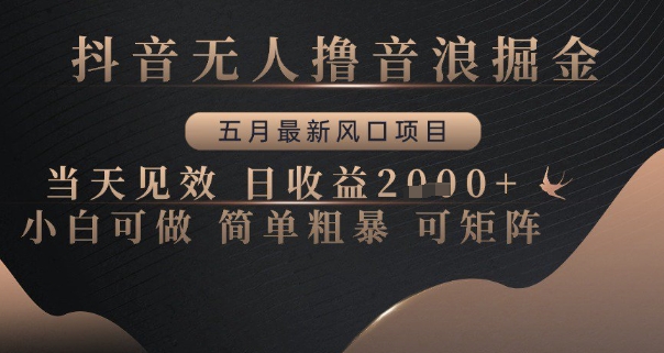 抖音无人撸音浪掘金，五月最新风口项目，当天见效，日收益多张，小白可做简单粗暴可矩阵【揭秘】-资源宝库