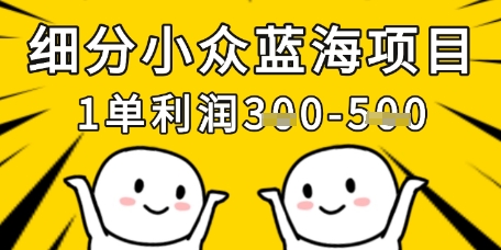 细分小众蓝海项目,一单利润3张,每月收入稳定过1w+-资源宝库
