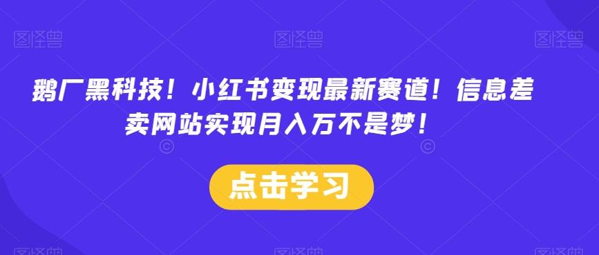 鹅厂黑科技！小红书变现最新赛道！信息差卖网站实现月入万不是梦！-资源宝库