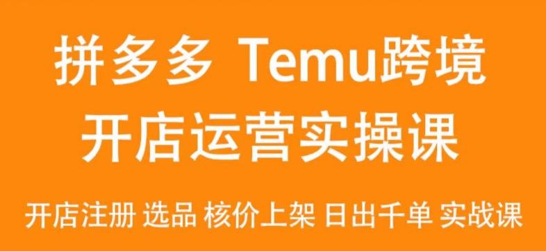 2024Temu最新玩法，Temu跨境开店运营实操课，开店注册/选品/核价上架/日出千单实战课-资源宝库