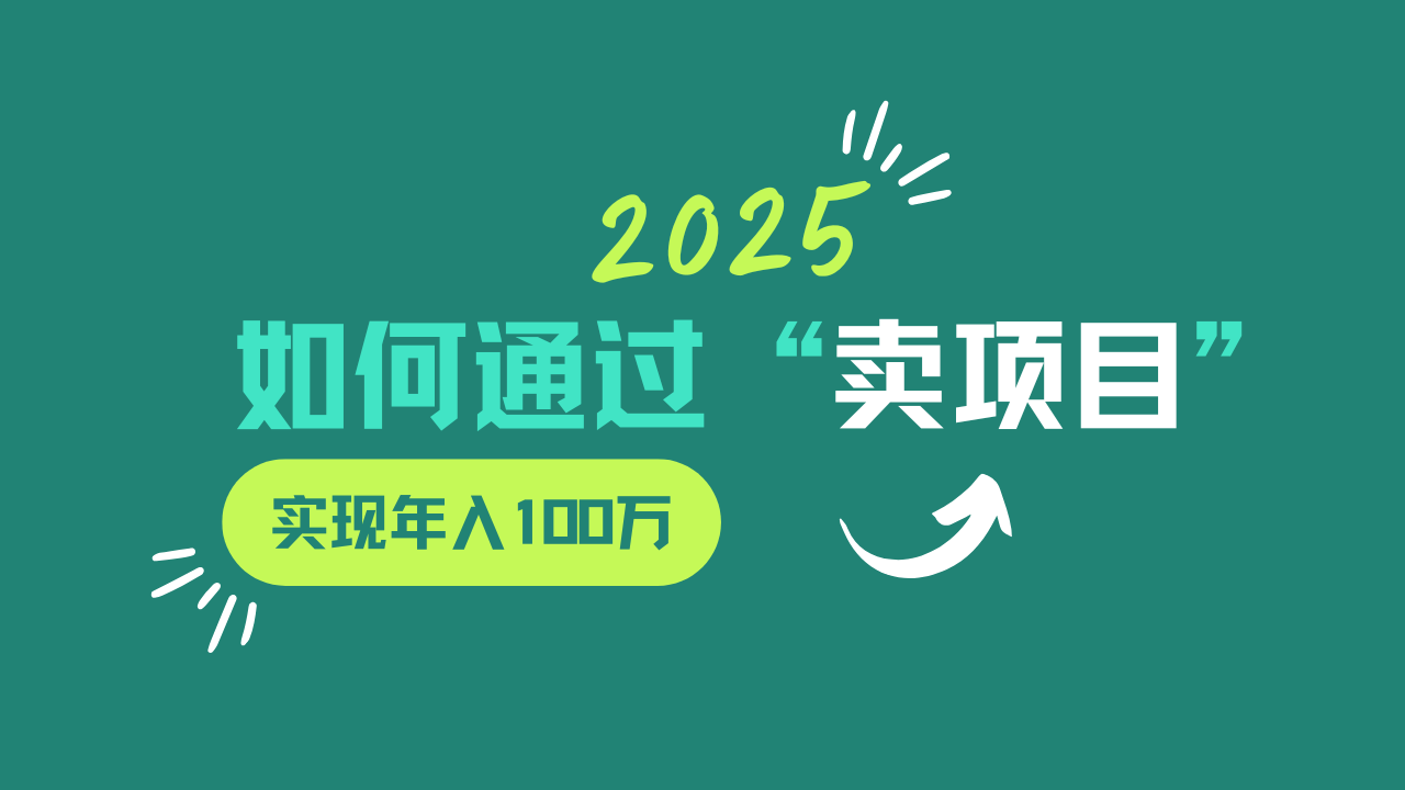 2025年如何通过“卖项目”实现年入100w-资源宝库