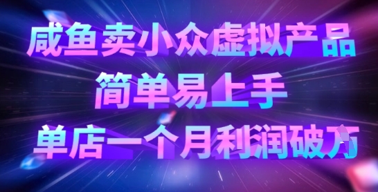 咸鱼卖小众虚拟产品,简单易上手,单店一个月利润破W-资源宝库