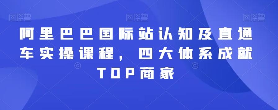 阿里巴巴国际站认知及直通车实操课程，四大体系成就TOP商家-资源宝库