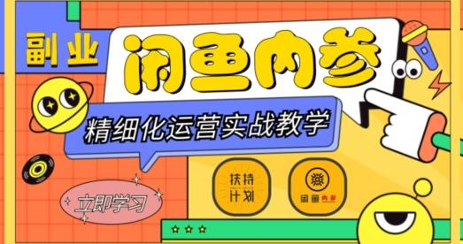 闲鱼精细化运营入门+高阶实战教学，从底层逻辑到轻松变现，多维度玩转闲鱼副业-资源宝库