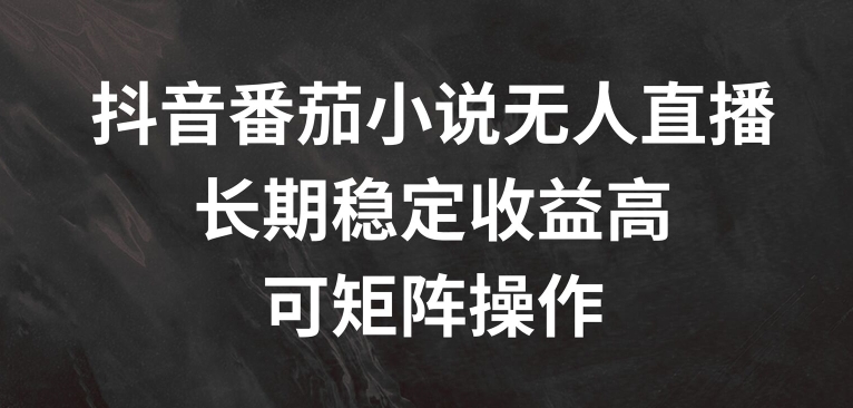 抖音番茄小说无人直播，长期稳定收益高，可矩阵操作【揭秘】-资源宝库