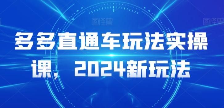 多多直通车玩法实操课，2024新玩法-资源宝库