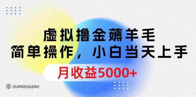 (9864期)虚拟撸金薅羊毛，简单操作，小白当天上手，月收益5000+-资源宝库