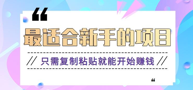 2024最适合新手操作的项目，新手小白只需复制粘贴就能开始赚钱【视频教程+软件】-资源宝库