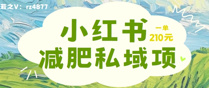 小红书减肥粉，私域变现项目，一单就达210元，小白也能轻松上手【揭秘】-资源宝库