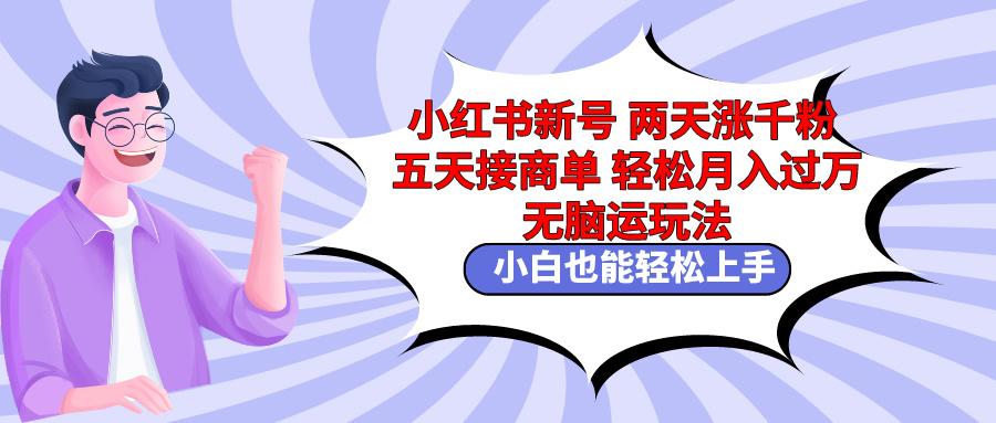 小红书新号两天涨千粉五天接商单轻松月入过万 无脑搬运玩法 小白也能轻...-资源宝库